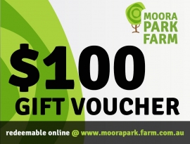 100-voucher