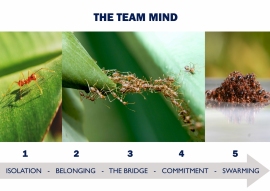 TEAM-MIND-1